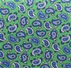 Gravata Rapaz Seda Paisley Verde
