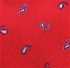 Tecido Gravata Paisley Botti 51