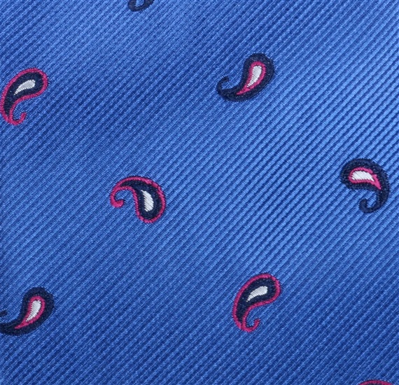 Tecido Gravata Paisley Botti 28