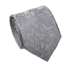 Gravata Paisley Seda Cinzento